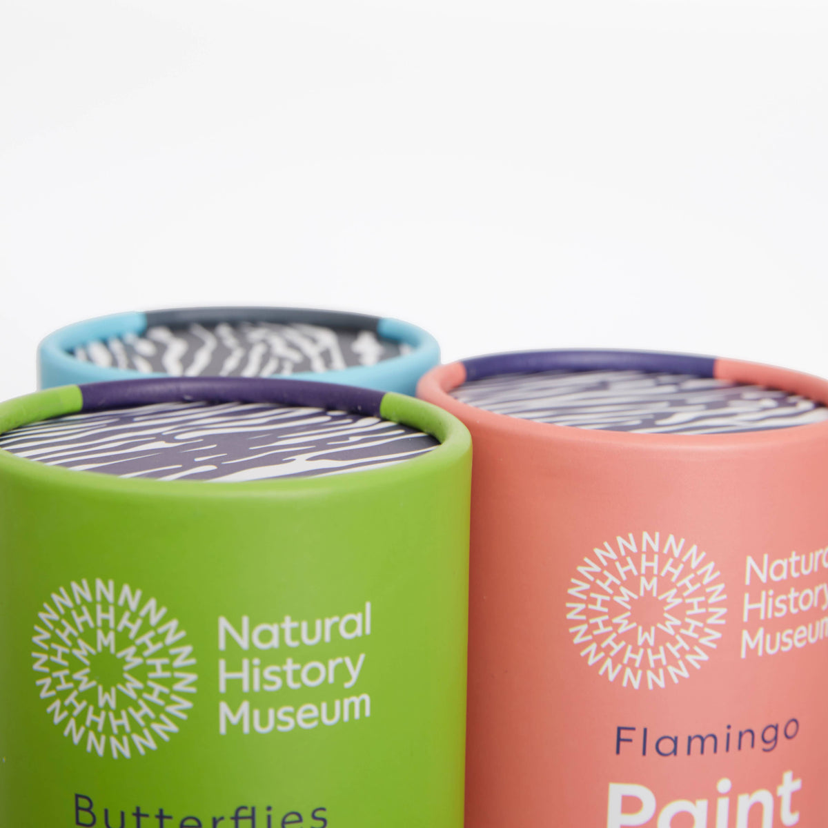 Natural History Museum Paint By Numbers Butterflies Kit