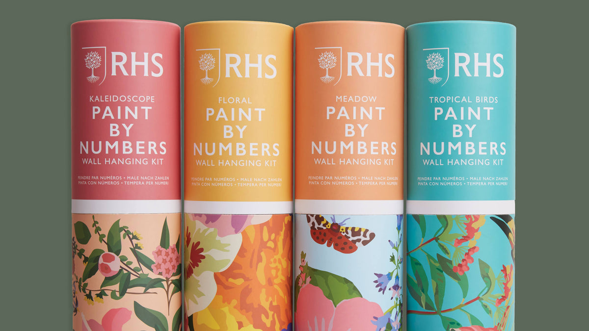 RHS Paint By Numbers Hanging Kit, 400 x 500 mm, Kaleidoscope