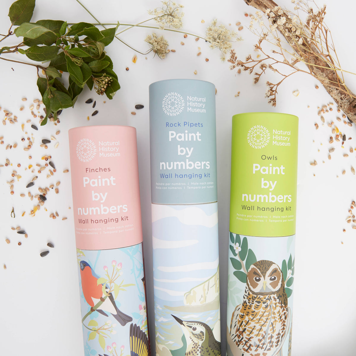 Natural History Museum Paint By Numbers Owls Hanging Kit