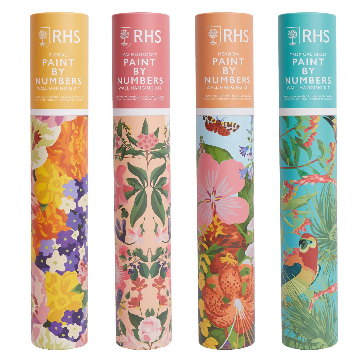 RHS Paint By Numbers Hanging Kit 24 Paints 400x500 mm Floral