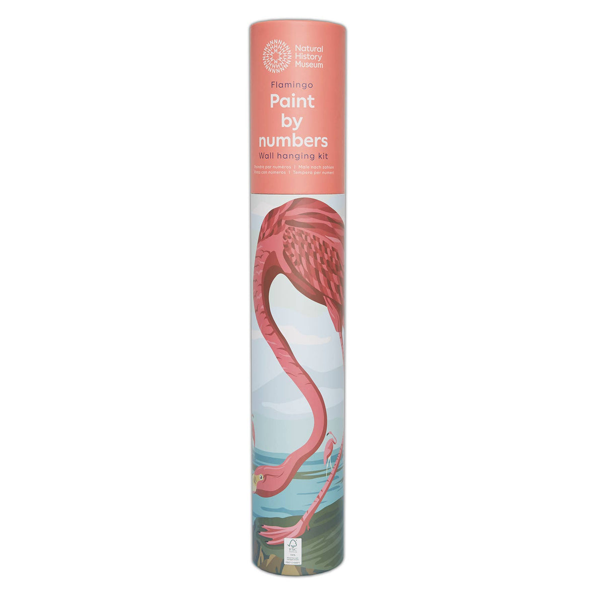 Natural History Museum Paint By Numbers Flamingo Hanging Kit