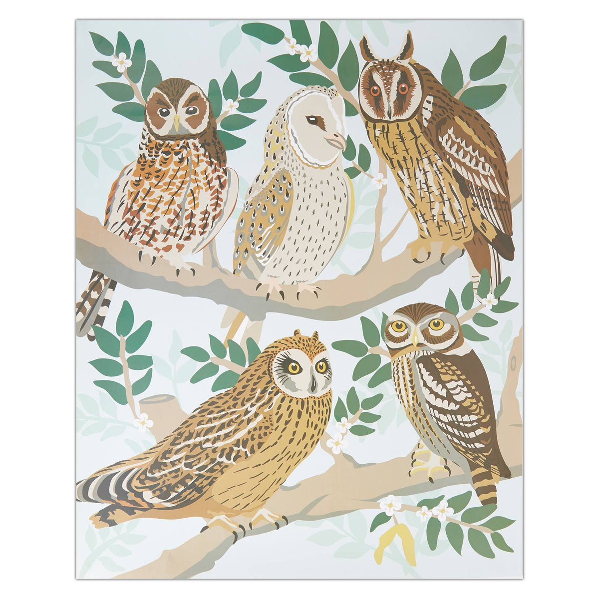 Natural History Museum Paint By Numbers Owls Hanging Kit