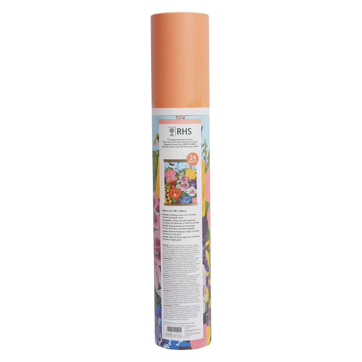 RHS Paint By Numbers Kit With 24 Paints, 400 x 500 mm Meadow