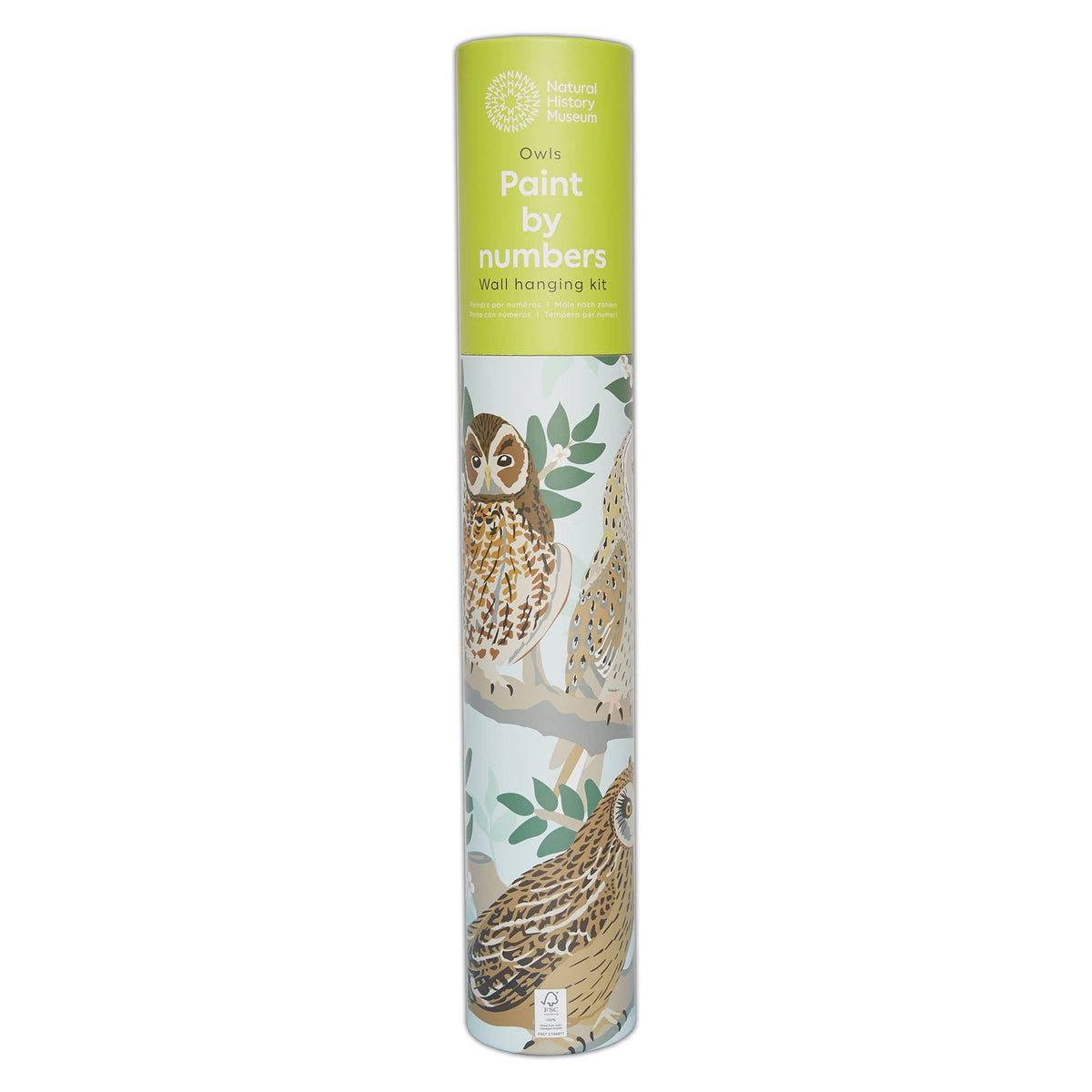 Natural History Museum Paint By Numbers Owls Hanging Kit