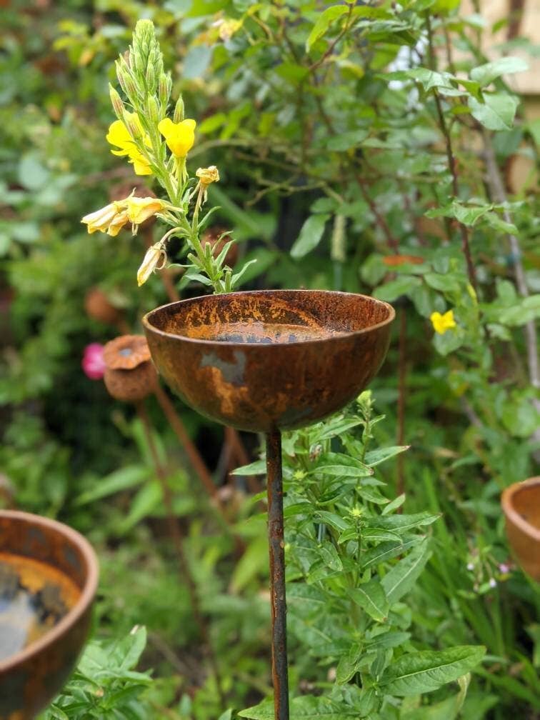 Rain Catcher  | Plant Support : Small 60mm