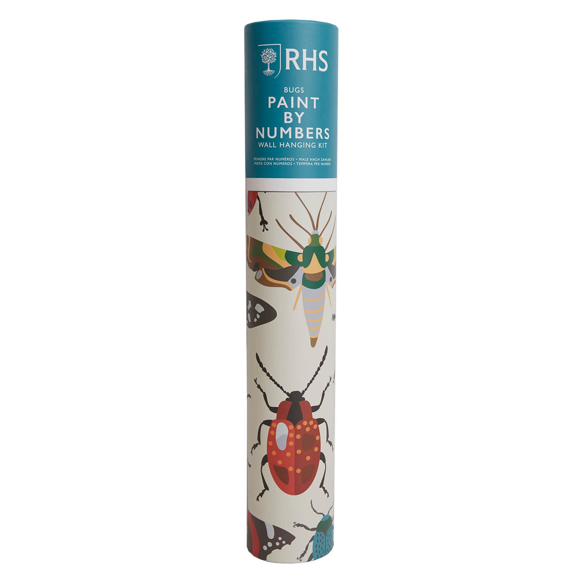 Royal Horticultural Society Paint By Numbers Kit, Bug Study