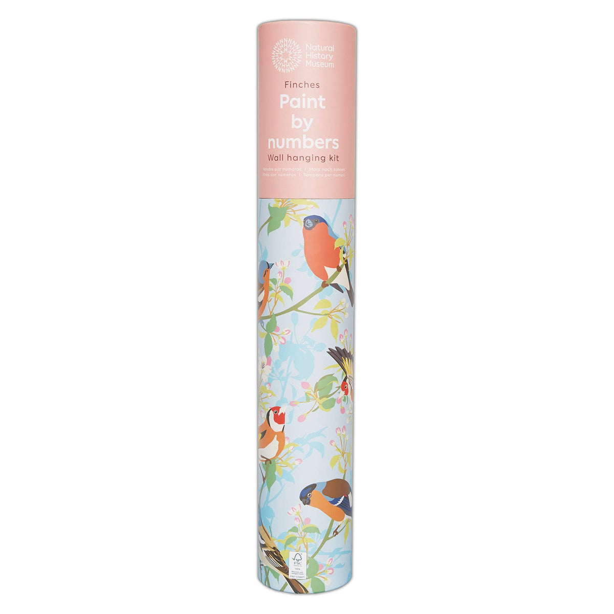 Natural History Museum Paint By Numbers Garden Birds Kit