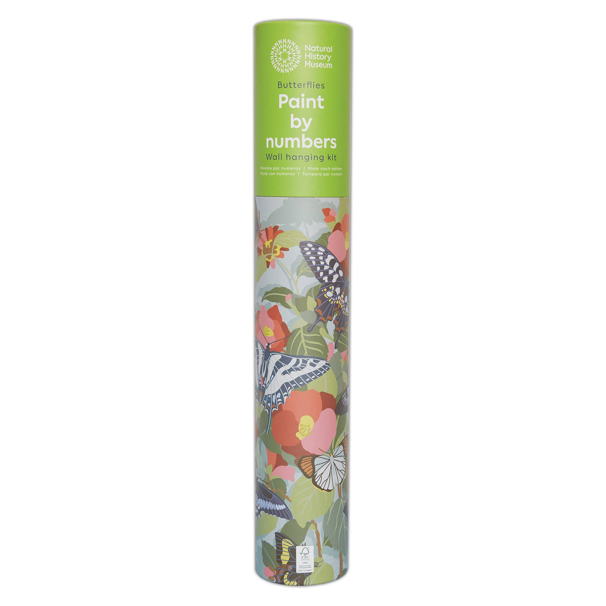 Natural History Museum Paint By Numbers Butterflies Kit