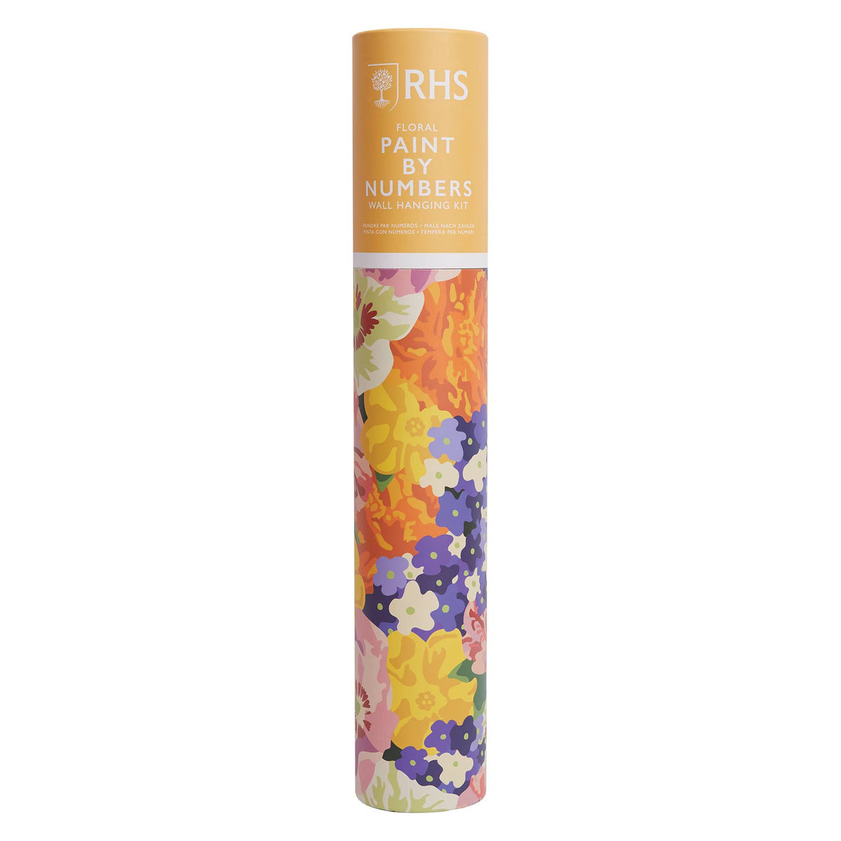 RHS Paint By Numbers Hanging Kit 24 Paints 400x500 mm Floral
