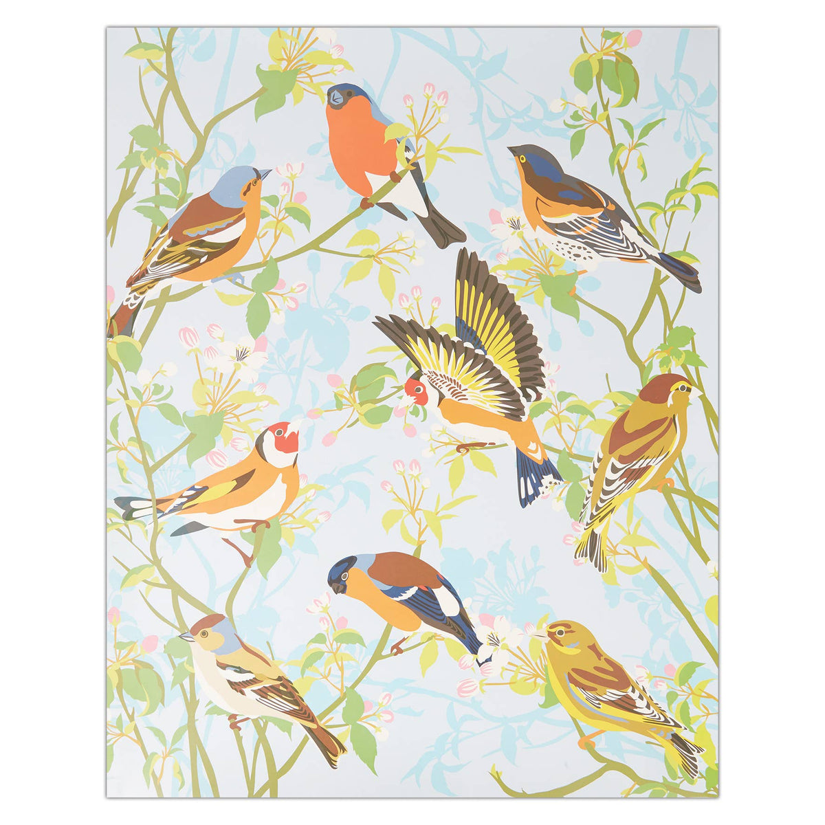 Natural History Museum Paint By Numbers Garden Birds Kit