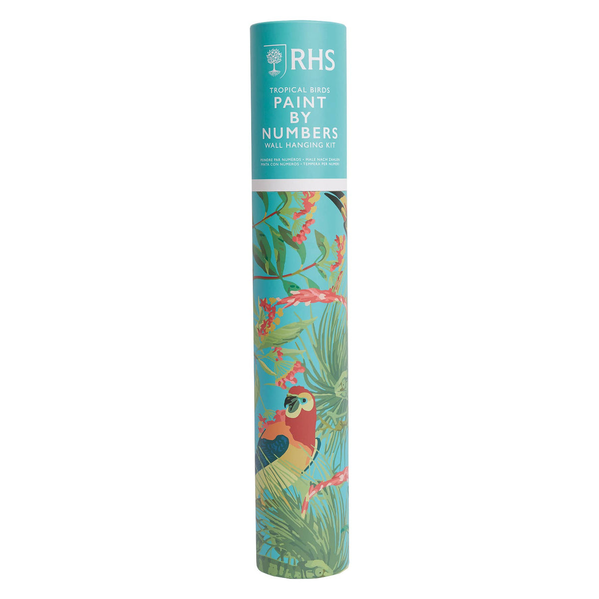 RHS Paint By Numbers Hanging Kit 400 x 500 mm Tropical Birds
