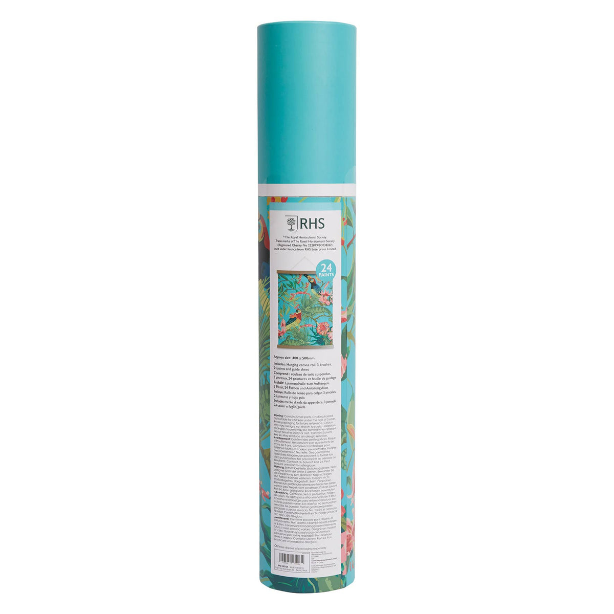 RHS Paint By Numbers Hanging Kit 400 x 500 mm Tropical Birds
