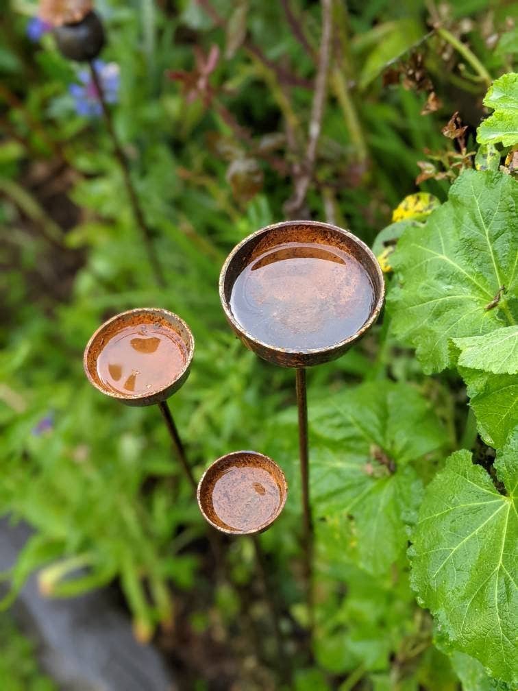 Rain Catcher  | Plant Support : Small 60mm