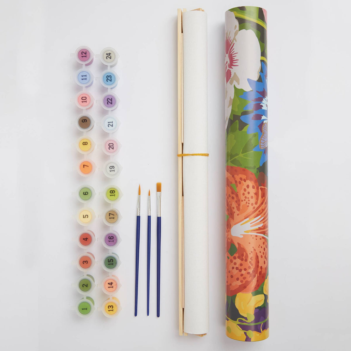RHS Paint By Numbers Kit With 24 Paints, 400 x 500 mm Meadow