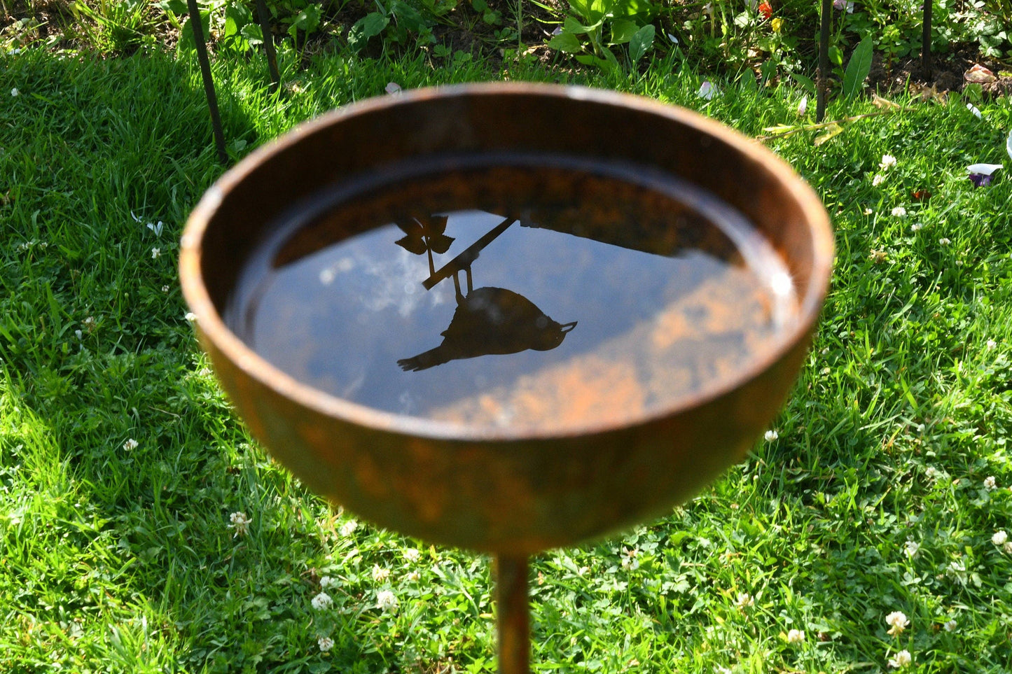 Rain Catcher  | Plant Support : Small 60mm