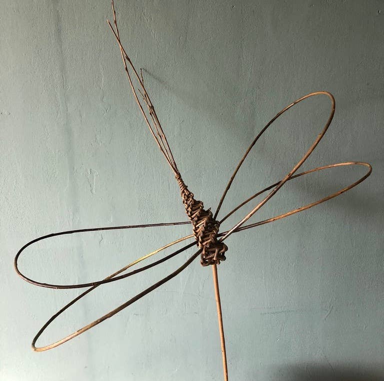 Willow Dragonfly