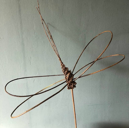Willow Dragonfly