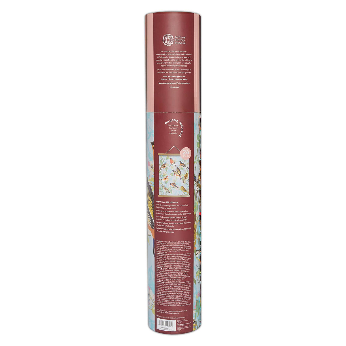 Natural History Museum Paint By Numbers Garden Birds Kit