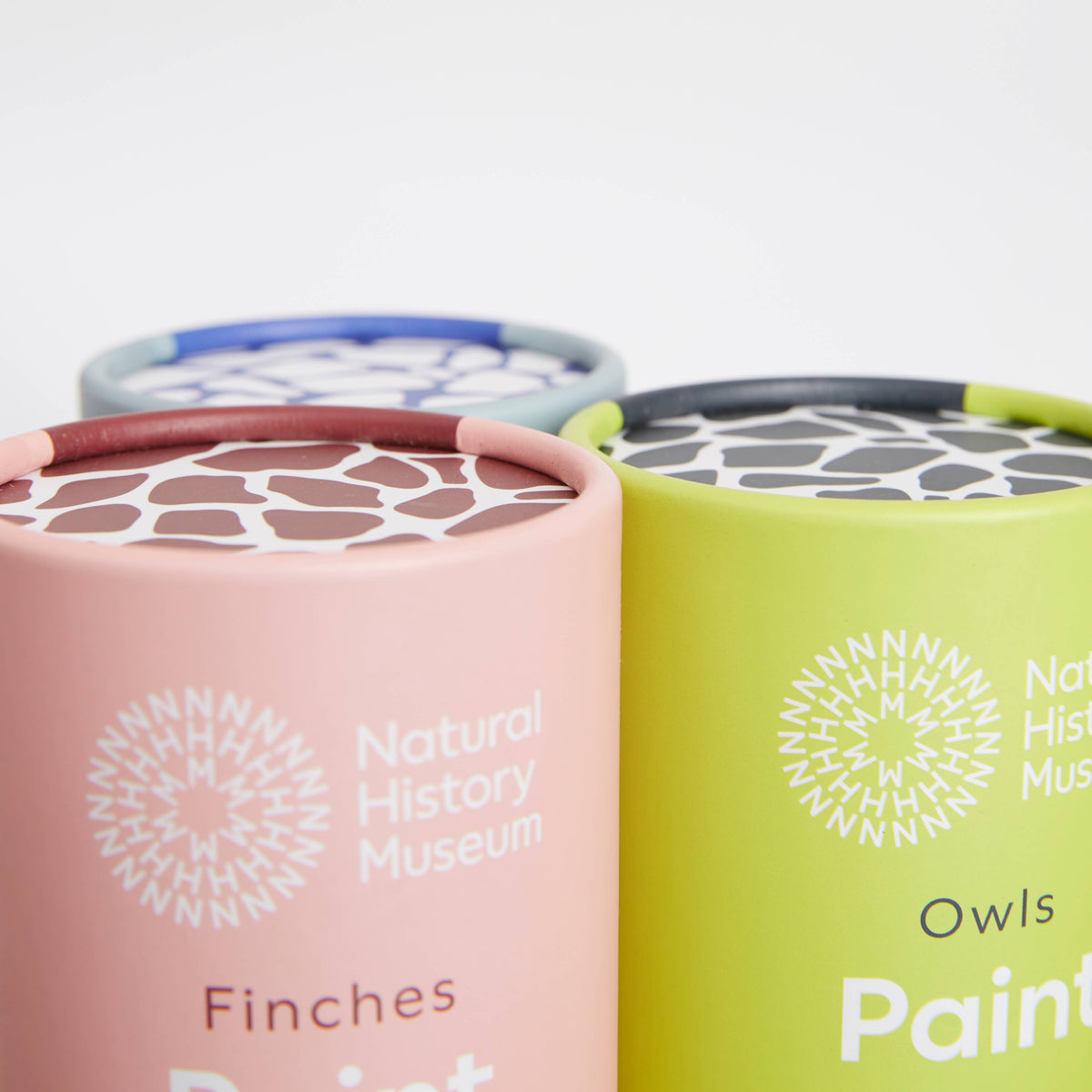 Natural History Museum Paint By Numbers Owls Hanging Kit