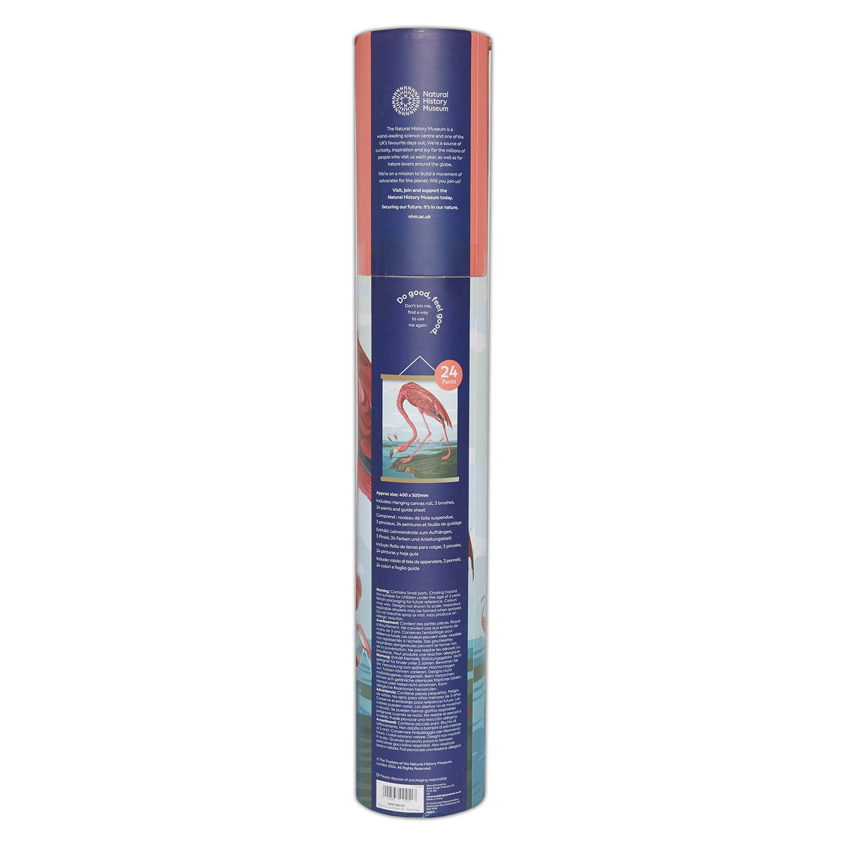 Natural History Museum Paint By Numbers Flamingo Hanging Kit