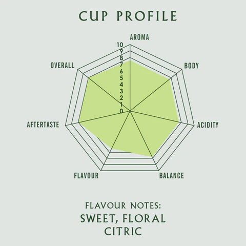 Suffolk Blend Coffee 227g  | Beans