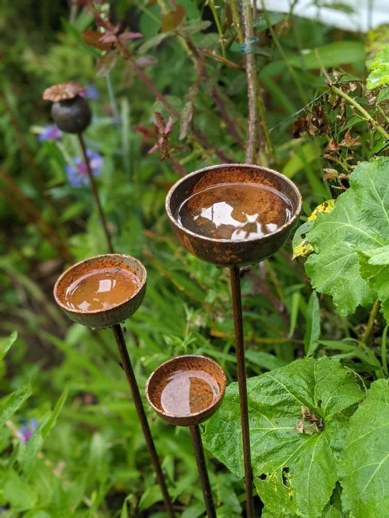 Rain Catcher  | Plant Support : Small 60mm