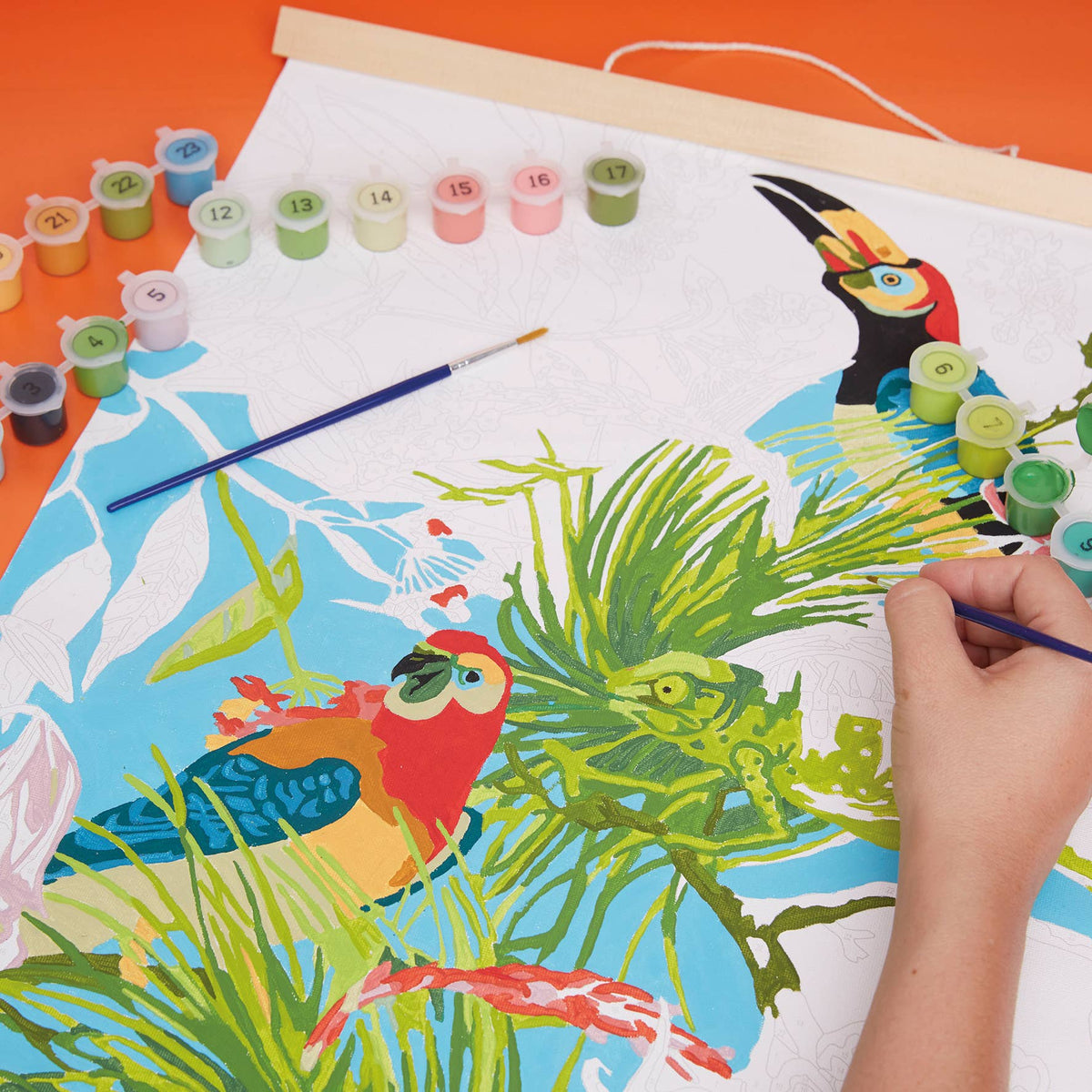 RHS Paint By Numbers Hanging Kit 400 x 500 mm Tropical Birds