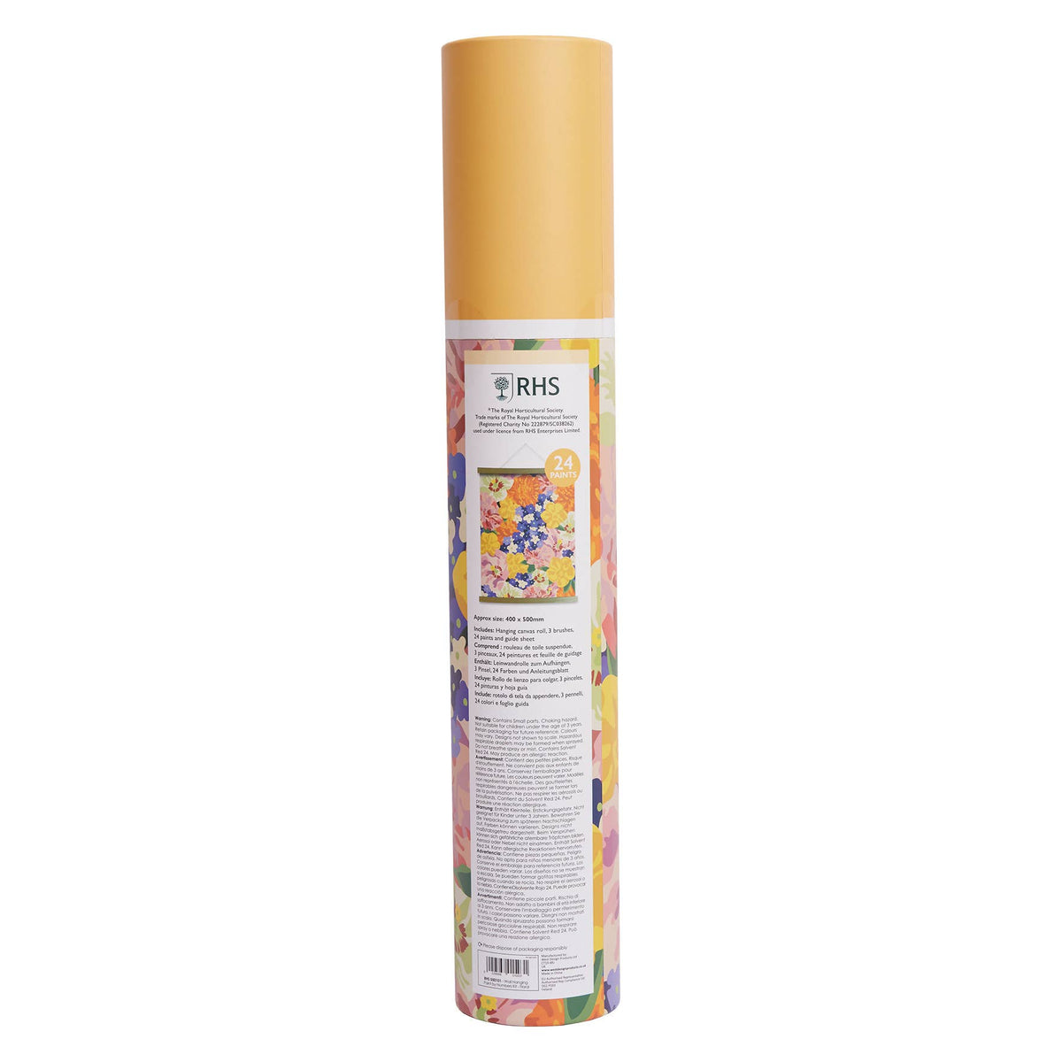 RHS Paint By Numbers Hanging Kit 24 Paints 400x500 mm Floral