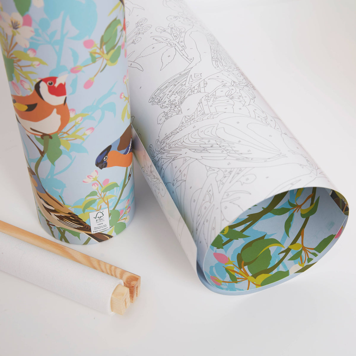 Natural History Museum Paint By Numbers Garden Birds Kit