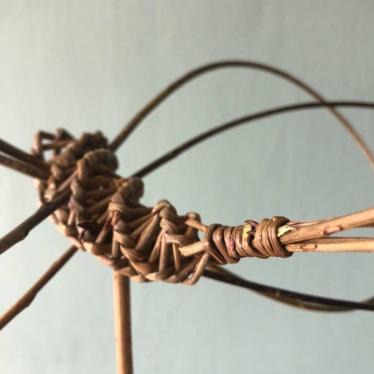 Willow Dragonfly