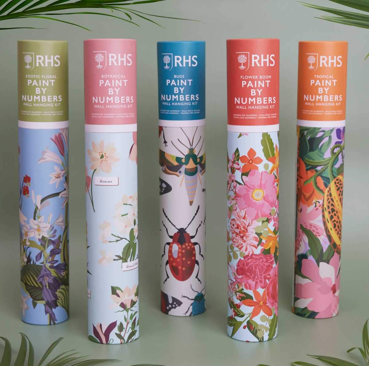 Royal Horticultural Society Paint By Numbers Kit, Bug Study