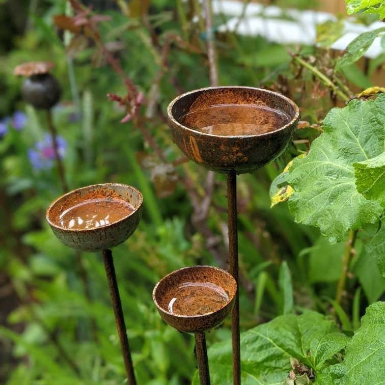 Rain Catcher  | Plant Support : Small 60mm