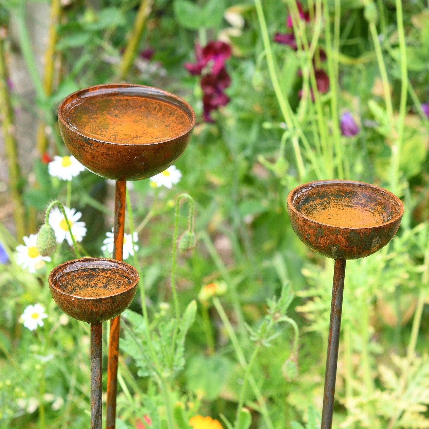Rain Catcher  | Plant Support : Small 60mm