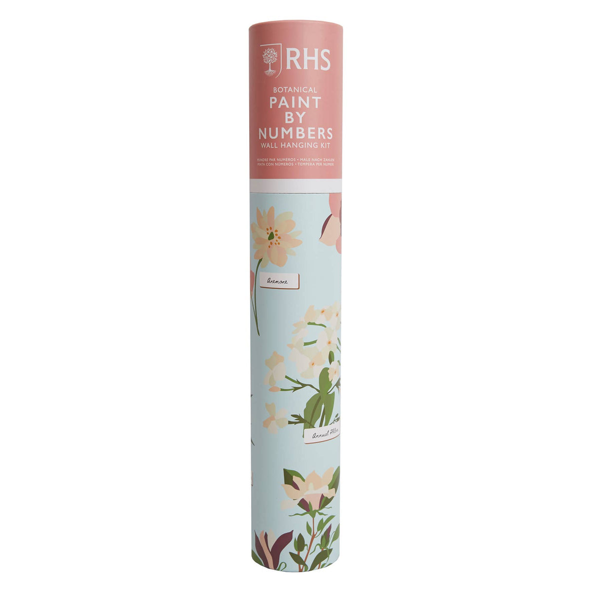 Royal Horticultural Society Paint By Numbers Kit, Botanical