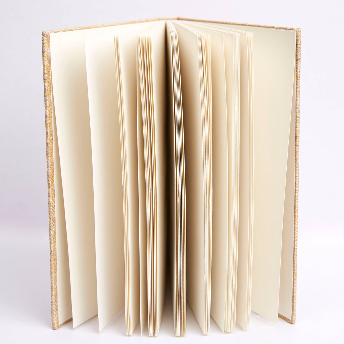 RHS 160 Page Hardbound Sketchbook (110gsm), A5, Rose