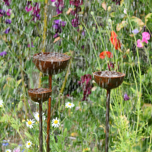 Rain Catcher  | Plant Support : Small 60mm