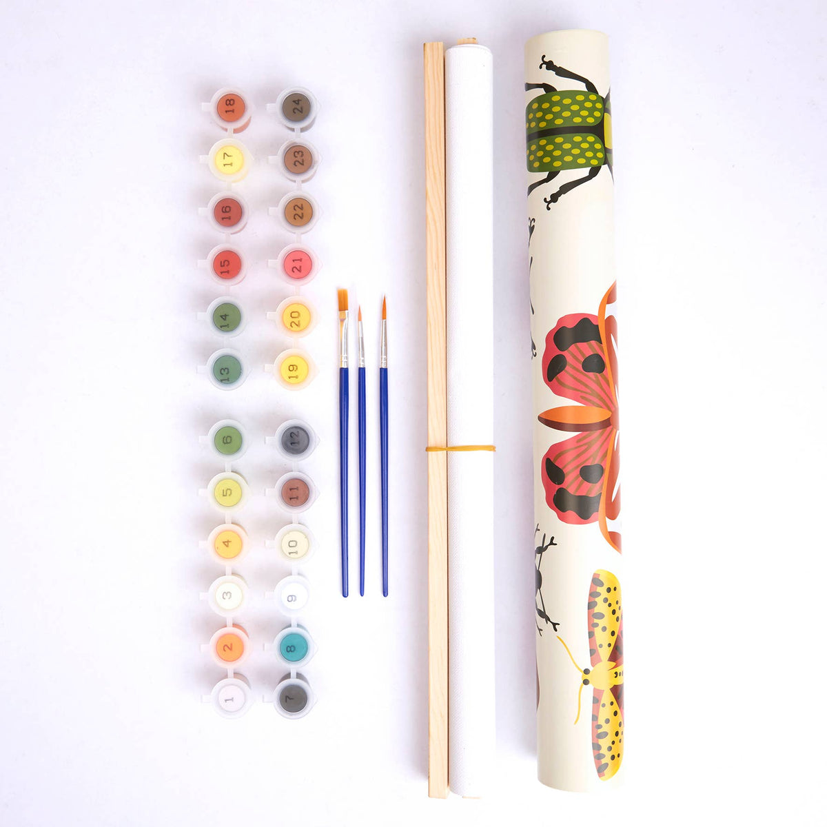 Royal Horticultural Society Paint By Numbers Kit, Bug Study