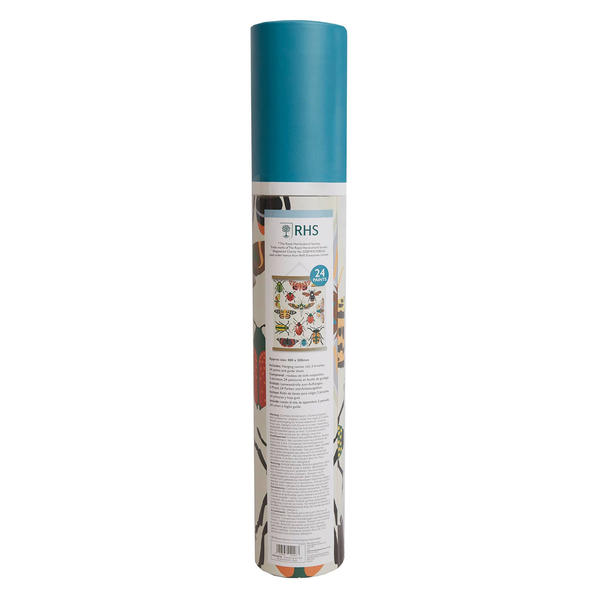 Royal Horticultural Society Paint By Numbers Kit, Bug Study