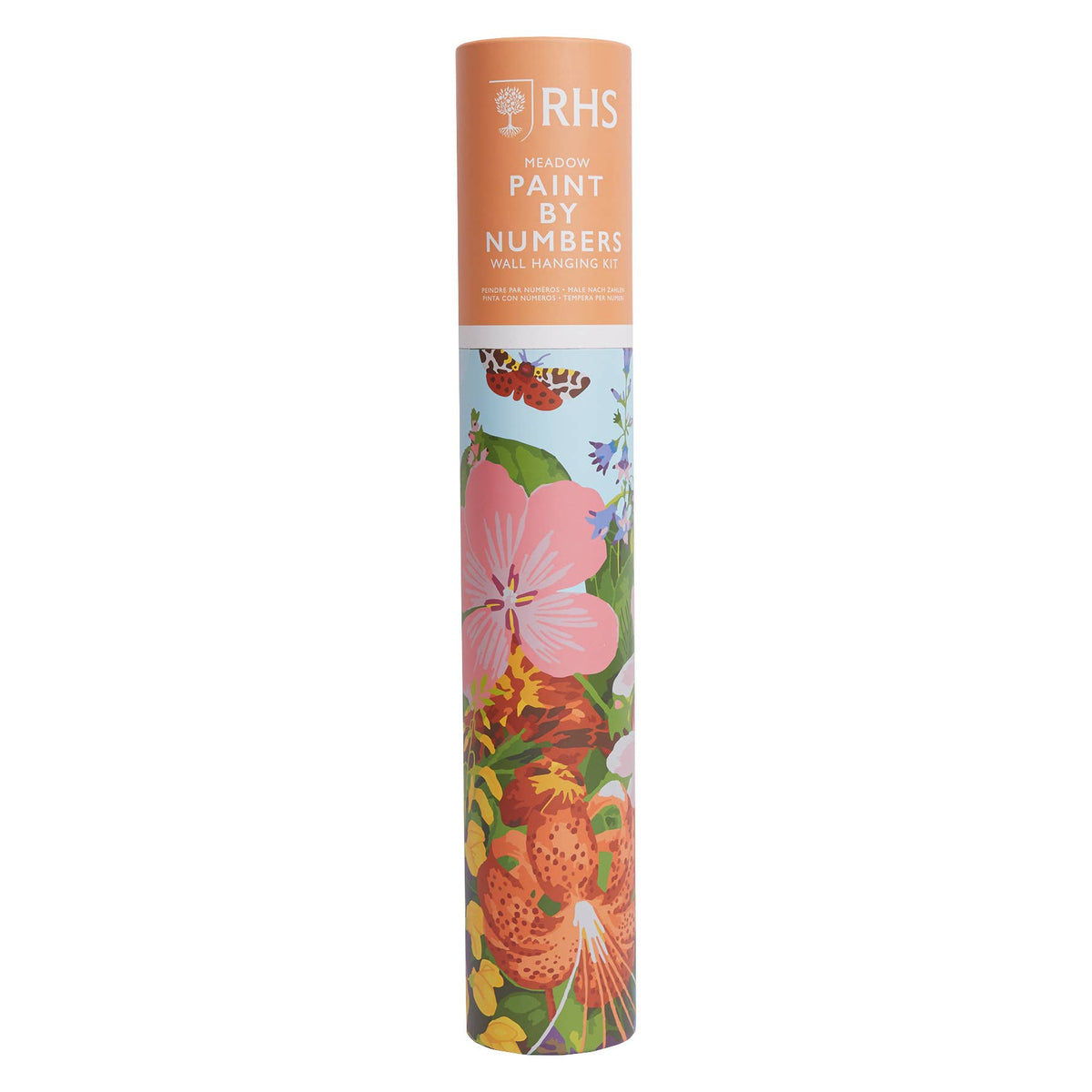 RHS Paint By Numbers Kit With 24 Paints, 400 x 500 mm Meadow