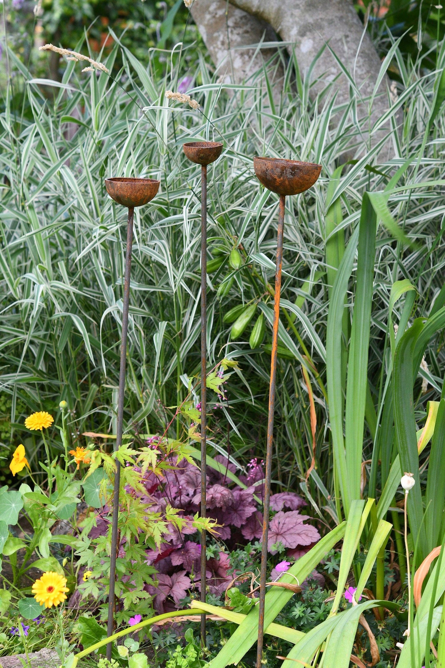 Rain Catcher  | Plant Support : Small 60mm