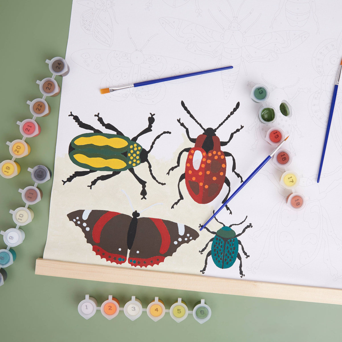 Royal Horticultural Society Paint By Numbers Kit, Bug Study