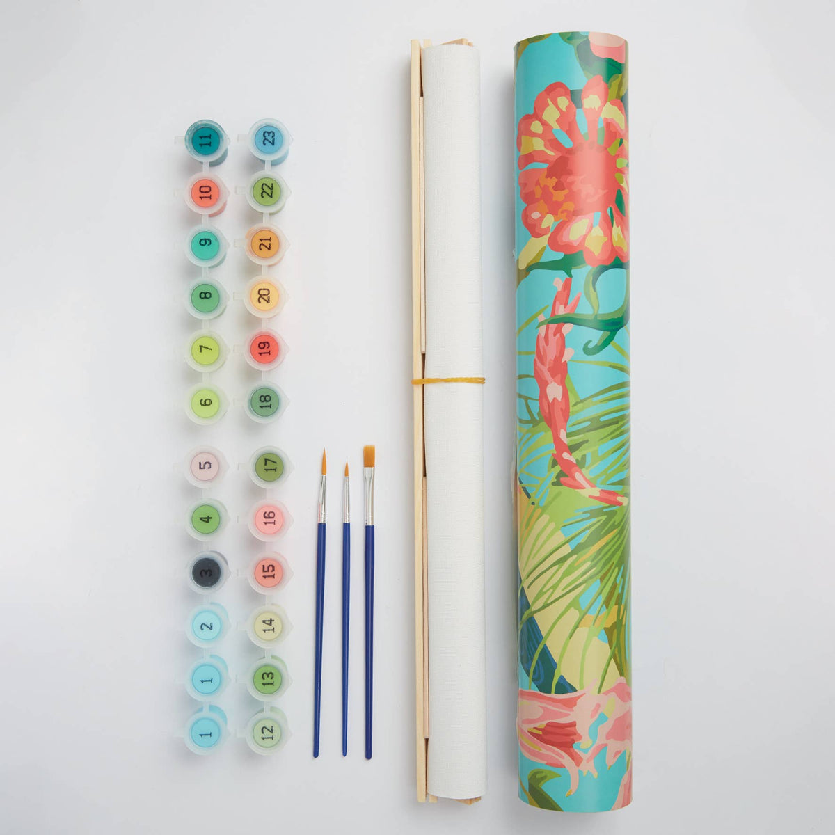 RHS Paint By Numbers Hanging Kit 400 x 500 mm Tropical Birds
